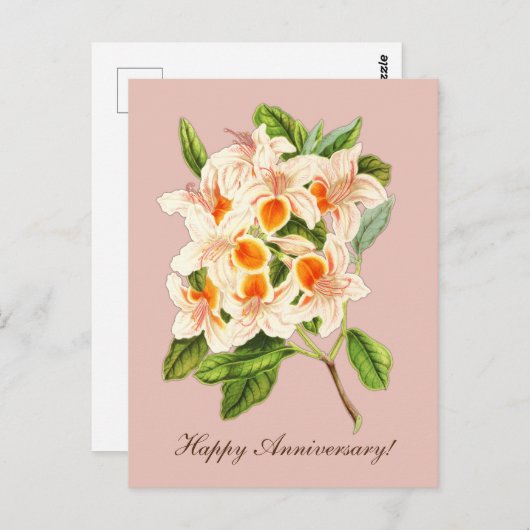 Prachtige azalea, jubileum briefkaart (Voorkant / Achterkant)