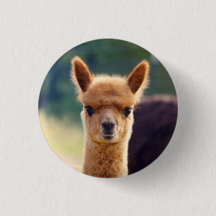 Prachtige Baby Alpaca-Buttonnen Ronde Button 3,2 Cm