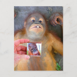 Prachtige Baby Zazzle Fan Briefkaart