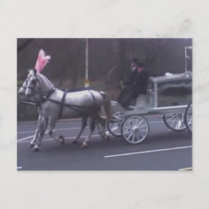Prachtige begrafenis briefkaart