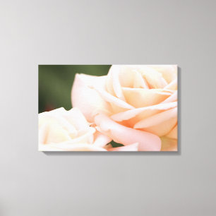 Prachtige Beige Rozen Opgespannen Canvasprint Canvas Afdruk