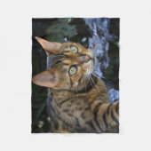 Prachtige Bengal Cat Fleece Deken (Voorkant)