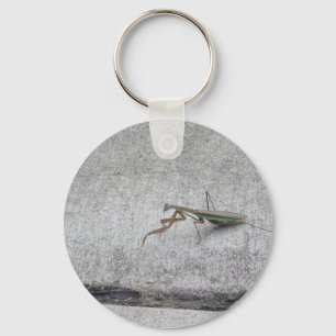 Prachtige bidsprinkhaanketting sleutelhanger