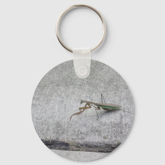 Prachtige bidsprinkhaanketting sleutelhanger