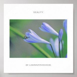 Prachtige Blauwe Bloemen Schoonheidsposter Poster