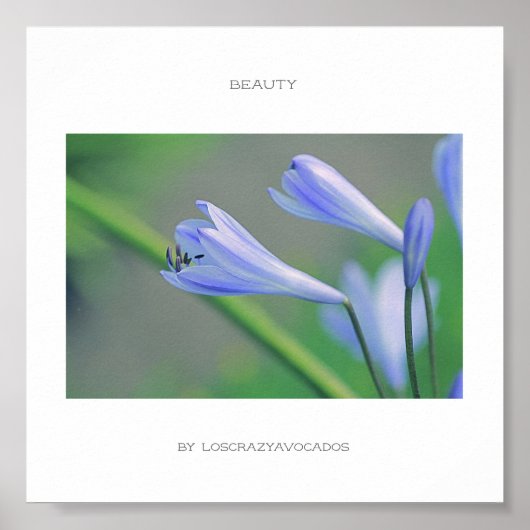 Prachtige Blauwe Bloemen Schoonheidsposter Poster (Voorkant)
