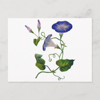Prachtige blauwe geborduurde ochtendglorie briefkaart