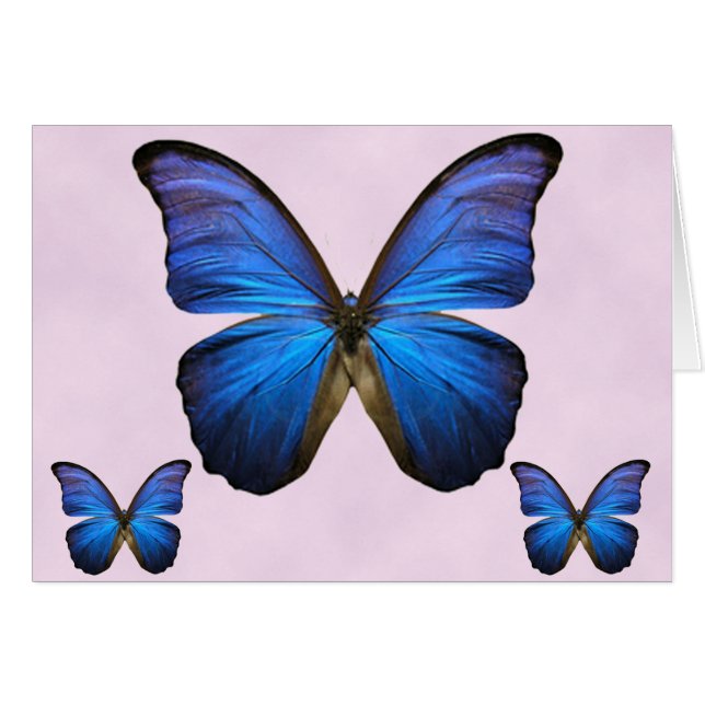 Prachtige Blue Morpho Butterfly (Voorkant Horizontaal)