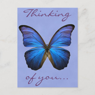 Prachtige Blue Morpho Butterfly Briefkaart