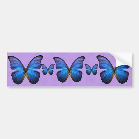 Prachtige Blue Morpho Butterfly Bumpersticker (Voorkant)