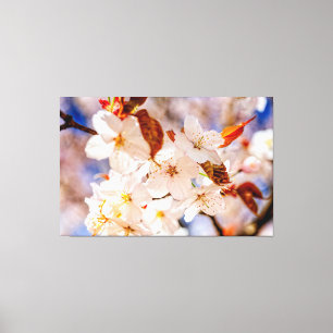 Prachtige bos kersenbloesems in de lente canvas afdruk