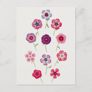 Prachtige  Botanische illustratie Briefkaart