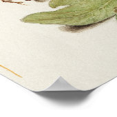 Prachtige Botanische illustratie Poster (Hoek)