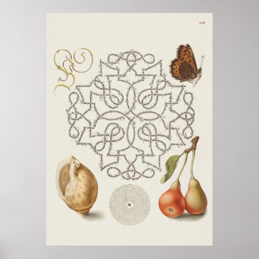 Prachtige Botanische illustratie Poster (Voorkant)