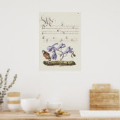 Prachtige  Botanische illustratie Poster (Keuken)