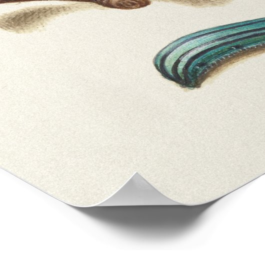 Prachtige Botanische illustratie Poster (Hoek)