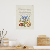 Prachtige  Botanische illustratie Poster (Keuken)