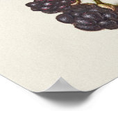 Prachtige  Botanische illustratie Poster (Hoek)