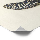 Prachtige Botanische illustratie Poster (Hoek)