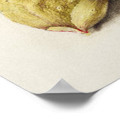 Prachtige  Botanische illustratie Poster (Hoek)