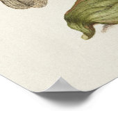 Prachtige Botanische illustratie Poster (Hoek)