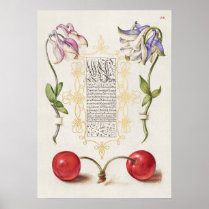 Prachtige  Botanische illustratie Poster