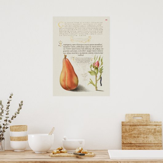 Prachtige Botanische illustratie Poster (Keuken)