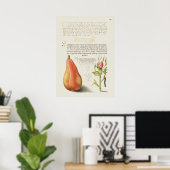Prachtige Botanische illustratie Poster (Thuiskantoor)