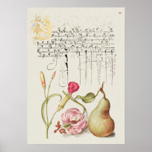 Prachtige Botanische illustratie Poster