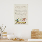 Prachtige Botanische illustratie Poster (Keuken)
