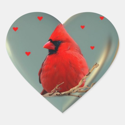 Prachtige Bright Red Cardinal, een sticker tot vre (Voorkant)