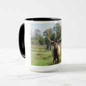 Prachtige Bull Elk Foto op 15oz combo mok (Voorkant links)