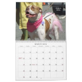 Prachtige Bullys 2021 Dog Calendar Kalender (Mar 2026)