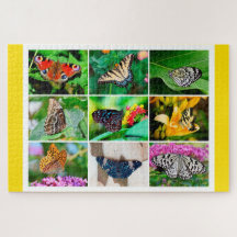 Prachtige Butterflies Collage, 12+ jaar, 1014 stuk