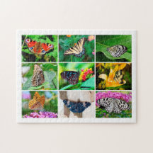 Prachtige Butterflies Collage, 8-jarige, 252 stuks