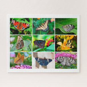 Prachtige Butterflies Collage, 9 Foto's, 10 jaar o Legpuzzel
