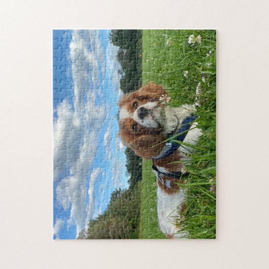 Prachtige Cavalier King Charles Spaniel Puzzel (Verticaal)