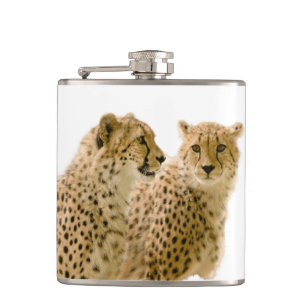 Prachtige Cheetah Beauful Cat-foto Heupfles