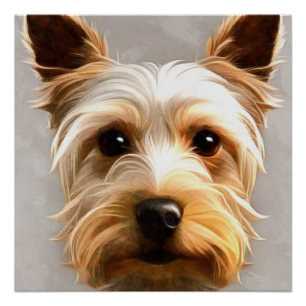 Prachtige Cute Yorkshire Terrier Puppy Floating Perfect Poster