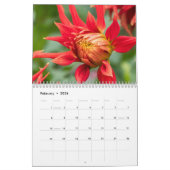 Prachtige Dahlias bloemenfotografie Kalender (Feb 2026)