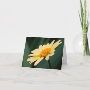Prachtige Daisy Bloem Fotografie Notitiekaartje
