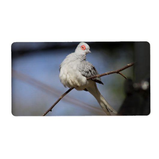 Prachtige Diamond Dove Etiket (Voorkant)