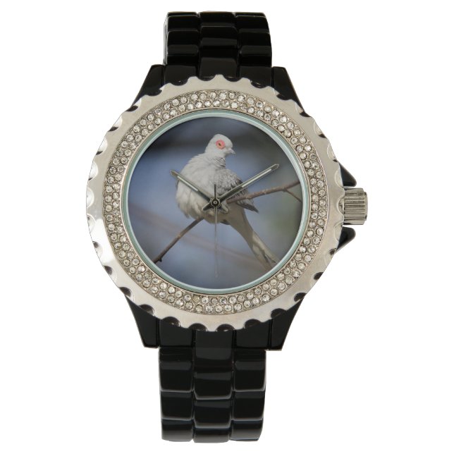 Prachtige Diamond Dove Horloge (Voorkant)