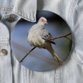 Prachtige Diamond Dove Ronde Button 6,0 Cm (In situ)