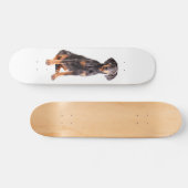 prachtige doberman pinscher skateboard (Horizontaal)