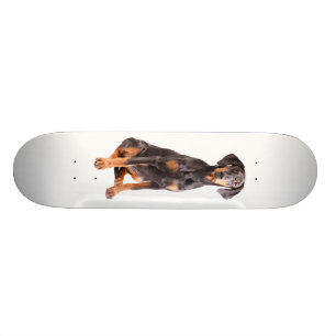 prachtige doberman pinscher skateboard