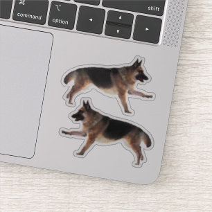 Prachtige Duitse herder Sticker