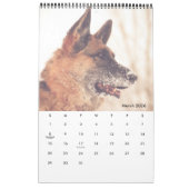 Prachtige Duitse schouderkalender Kalender (Mar 2026)
