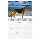 Prachtige Duitse Shepherd Dog-agenda Kalender (Mar 2026)