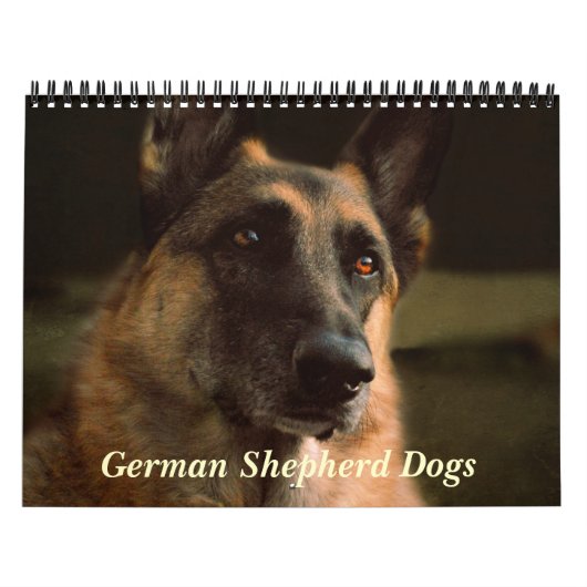 Prachtige Duitse Shepherd Dog Calendar Kalender (Hoes)